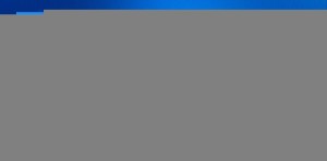 WEB DESIGNING (1 MONTH )